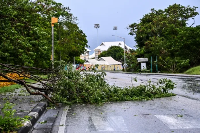 A fallen tree on the street as Hurricane Beryl passes by Bridgetown, Barbados