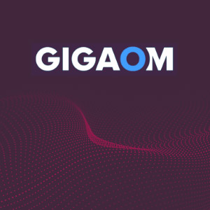 300x300 gigaomreport