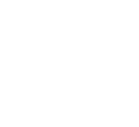 Das Kinofest