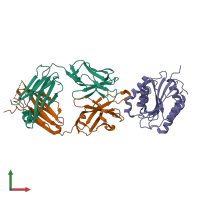 PDB entry 1fns coloured by chain, front view.