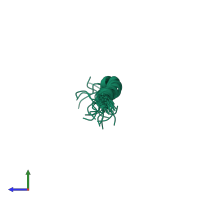 PDB entry 2nct coloured by chain, ensemble of 20 models, side view.