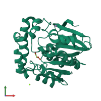 PDB entry 2ocg coloured by chain, front view.