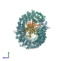 PDB entry 4c0q coloured by chain, side view.