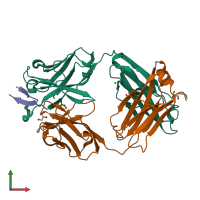 PDB entry 4dgy coloured by chain, front view.