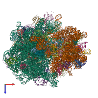 PDB entry 5o2r coloured by chain, top view.