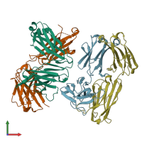 PDB entry 8fab coloured by chain, front view.