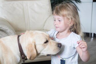 Die vierjährige Eleanor streichelt ihren Therapiehund Lou.