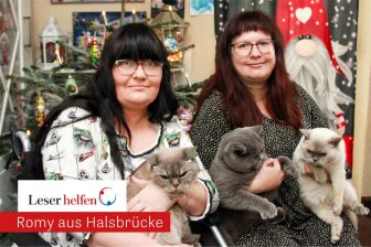 Freundinnen dank Samtpfoten: Romy Carolus (l.) und Tina Ruppert mit ihren Britisch-Kurzhaar-Katzen Keks, Amy und Sammy (von links).