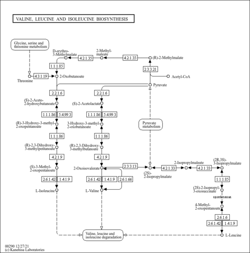 psex00290