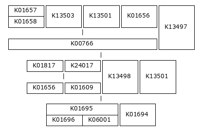 MODULE IMAGE