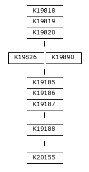 MODULE IMAGE