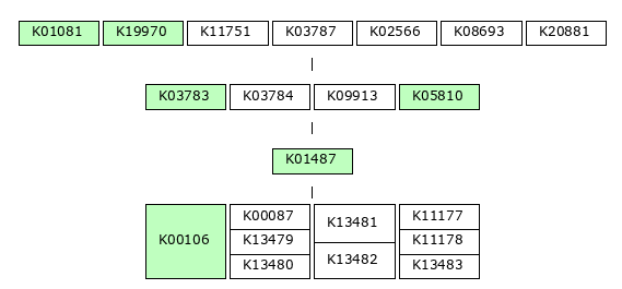 MODULE IMAGE