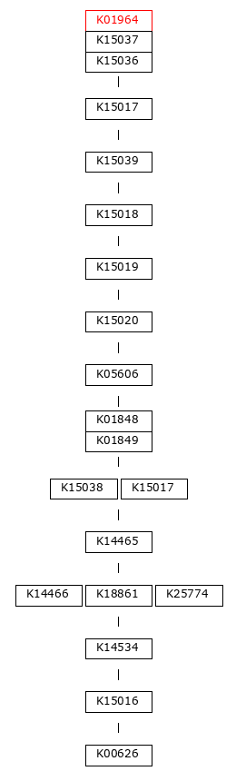 MODULE IMAGE