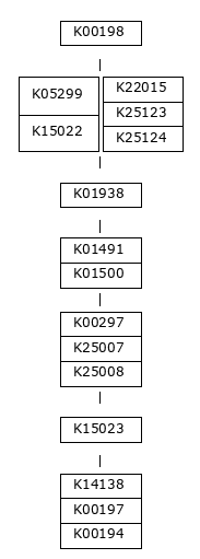 MODULE IMAGE