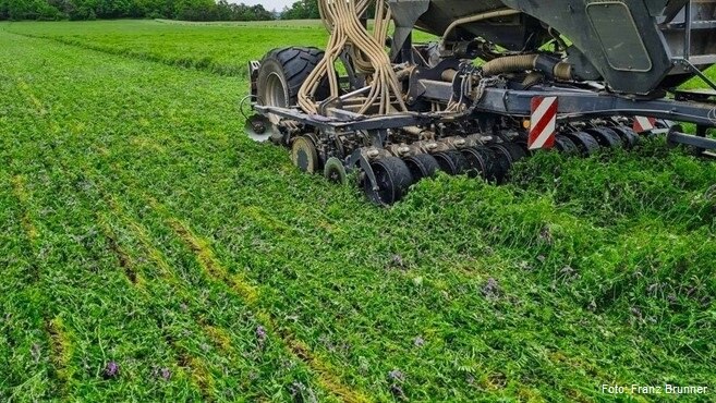 Planting Green Verfahren in der Praxis