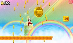 NSMB2-S-25-Rainbow-0718.jpg