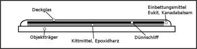 Skizze eines Dünnschliffpräparats