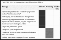 TABLE 5.3. Key strategies to prevent falls among children.