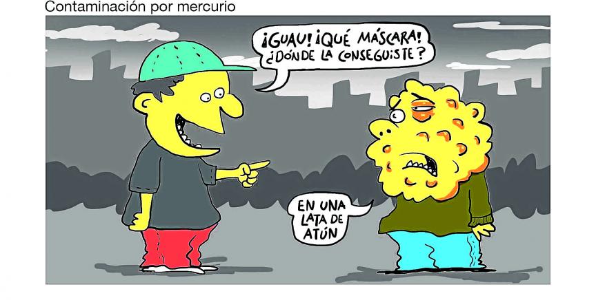 Contaminación por mercurio