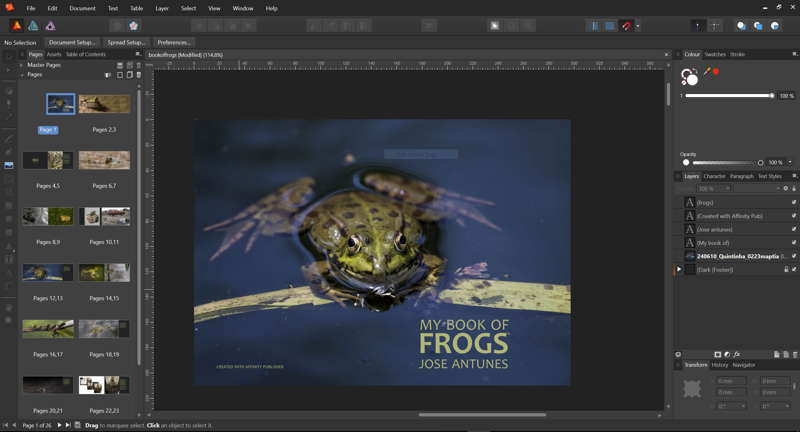 Affinity Publisher: an affordable alternative to InDesign