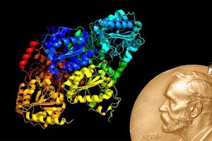 Proteinstruktur