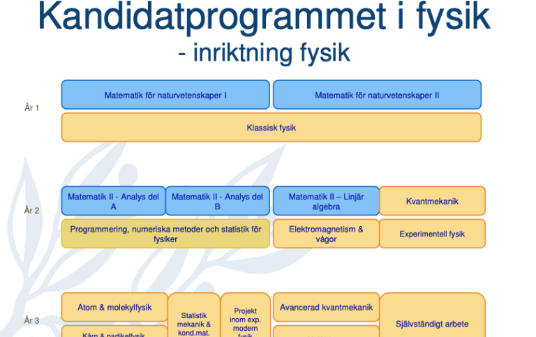 Henrik Jörnling berättar mer om favoritämnet statistik