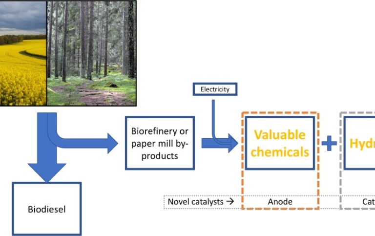 Figur 1. Glycerol som biprodukt från produktion av biodiesel ur t. ex. raps och svartlut