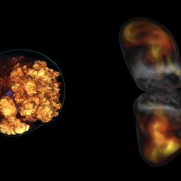 Numerical simulation of a supernova