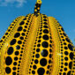 Yayoi Kusama’s giant polka dot pumpkin